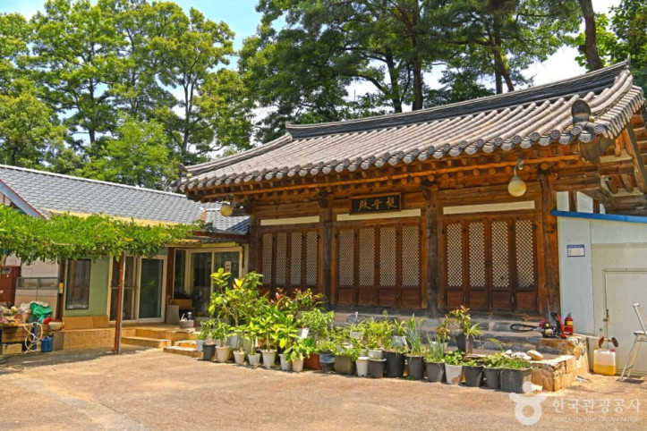 대성사(옥천) 여행 추천 - 메고지고