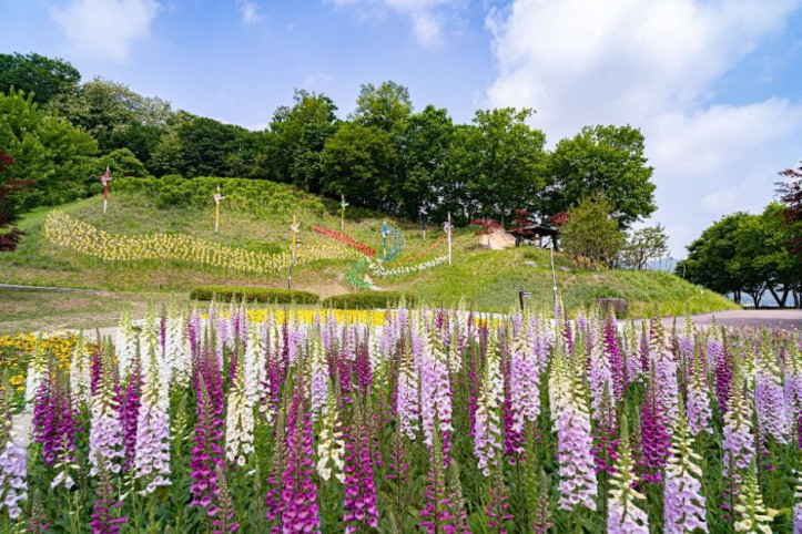 용인 8경 여행 추천 - 메고지고