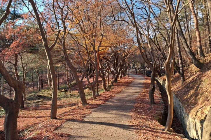 부소산 여행 추천 - 메고지고