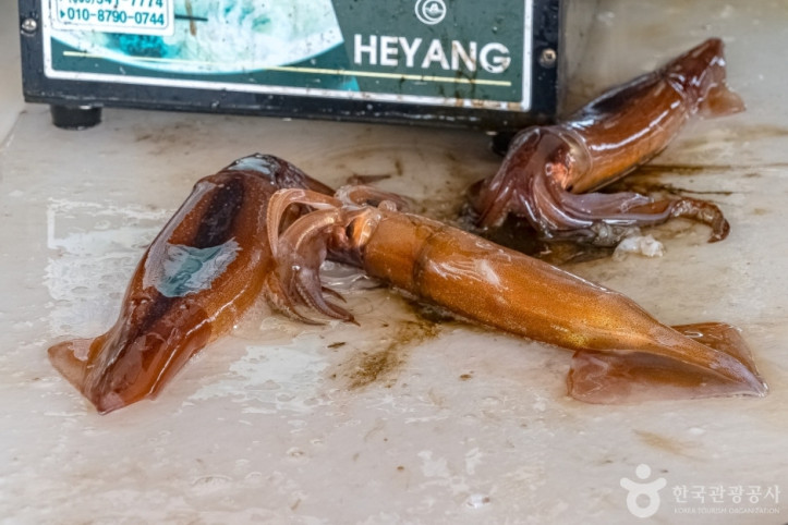 동명항오징어난전 여행 추천 - 메고지고