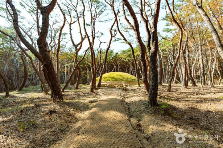 경주 헌강왕릉 여행 추천 - 메고지고