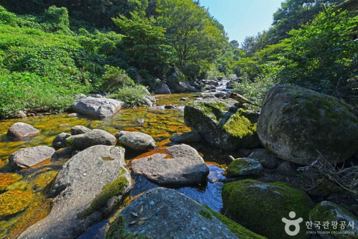 새밭계곡 여행 추천 - 메고지고