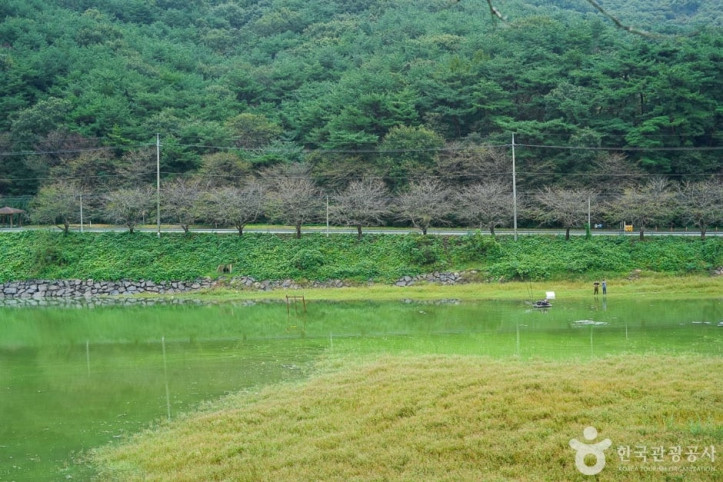 고남 저수지 여행 추천 - 메고지고