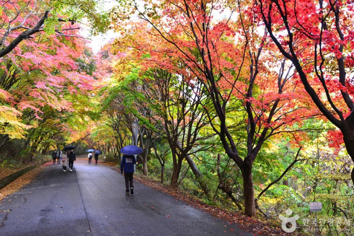 원효사(광주) 여행 추천 - 메고지고
