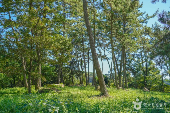 장흥 방촌리 지석묘군 여행 추천 - 메고지고