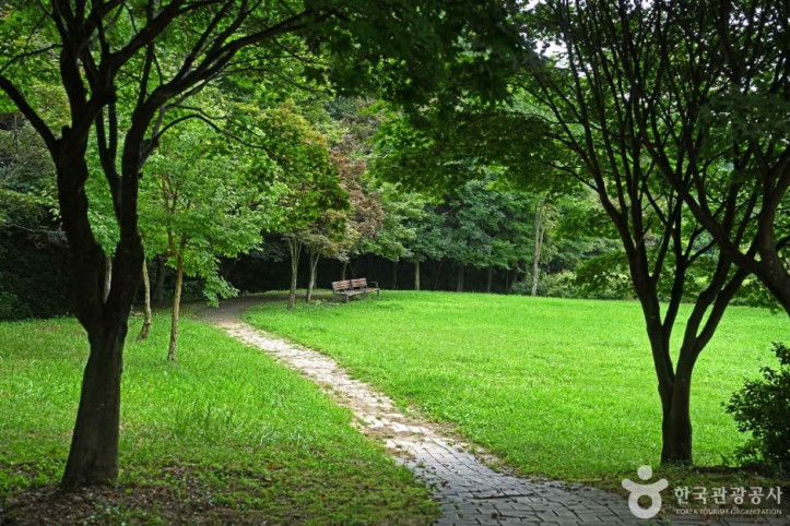 용두산 산림욕장 여행 추천 - 메고지고