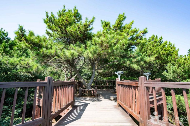여차홍포해안도로전망대 여행 추천 - 메고지고