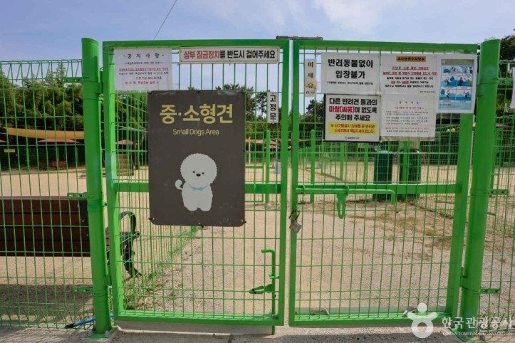 봉화재 반려견 놀이터 여행 추천 - 메고지고