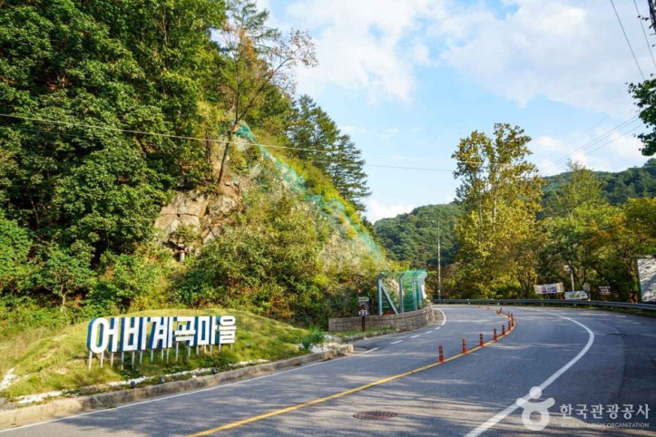 어비계곡 여행 추천 - 메고지고