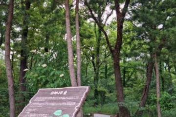 구룡산(서울) 여행 추천 - 메고지고