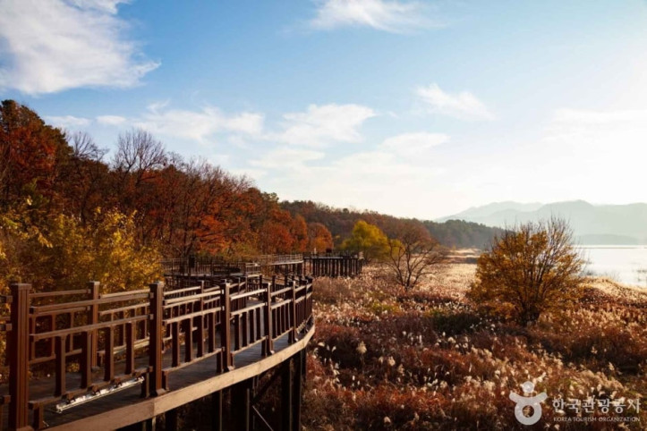 대청호 여행 추천 - 메고지고