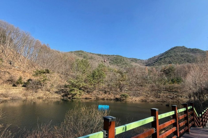 충북알프스자연휴양림 여행 추천 - 메고지고