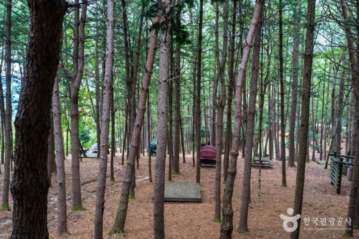 봉래산(영월) 여행 추천 - 메고지고