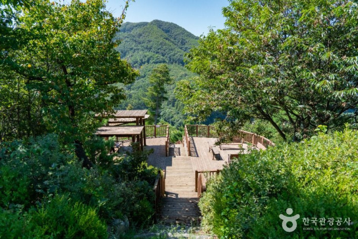 석포숲공원 여행 추천 - 메고지고