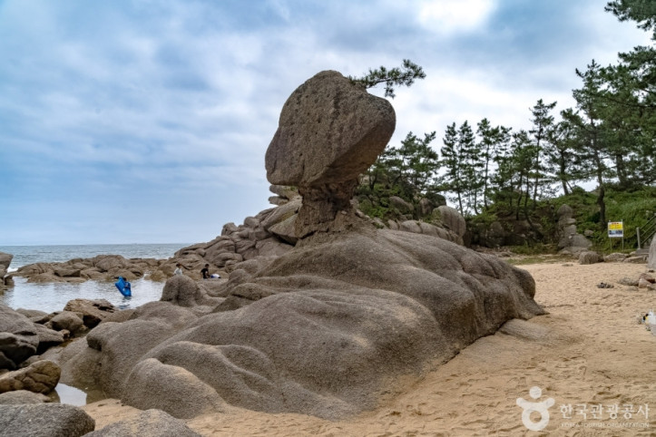 송지호 해안 서낭바위 (강원평화지역 국가지질공원) 여행 추천 - 메고지고