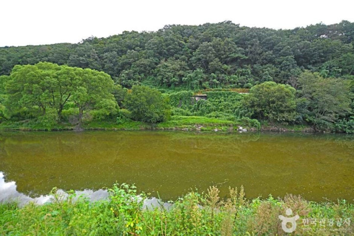 판대천 여행 추천 - 메고지고