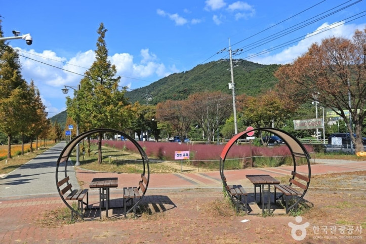 논공꽃단지 여행 추천 - 메고지고