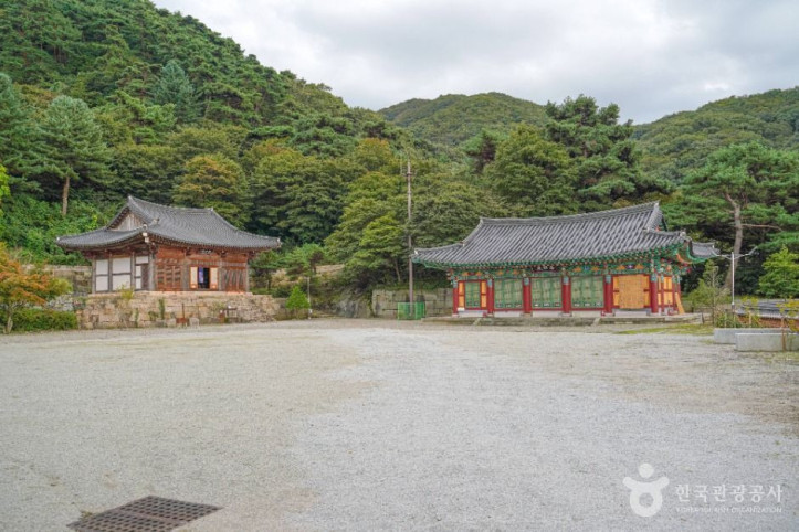 청룡사(김제) 여행 추천 - 메고지고
