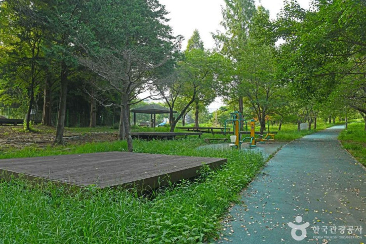 나들목 가족공원 여행 추천 - 메고지고