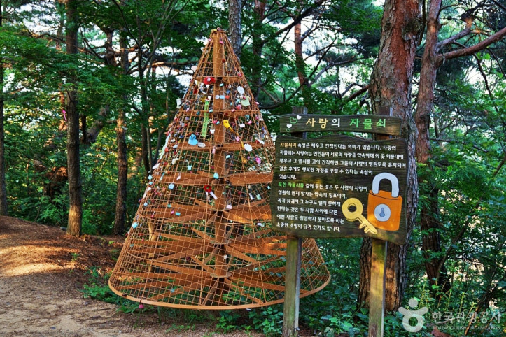 회룡포전망대 여행 추천 - 메고지고