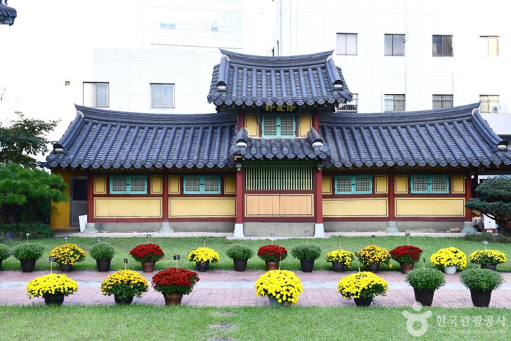 원각사(광주) 여행 추천 - 메고지고