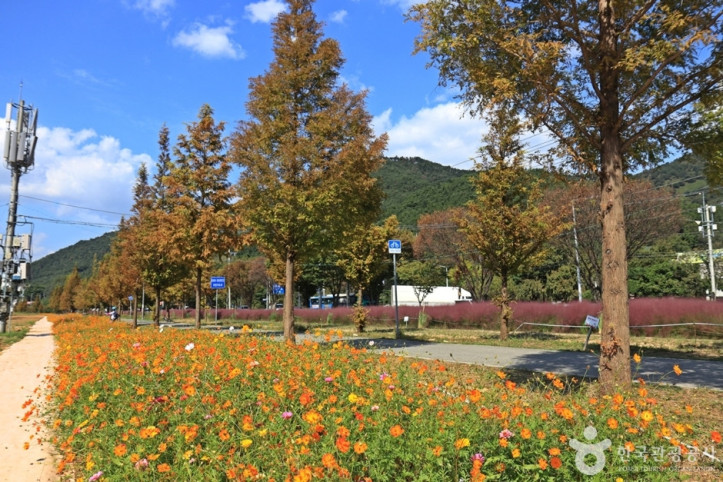 논공꽃단지 여행 추천 - 메고지고