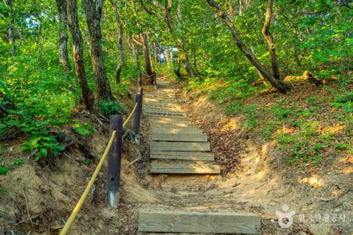 고성 금강산 여행 추천 - 메고지고