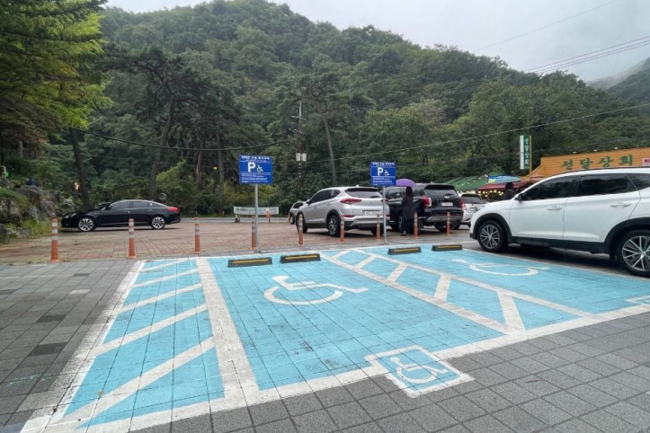 황장목숲길 여행 추천 - 메고지고