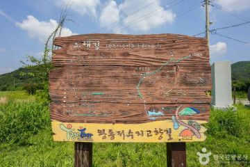 용진정사 여행 추천 - 메고지고