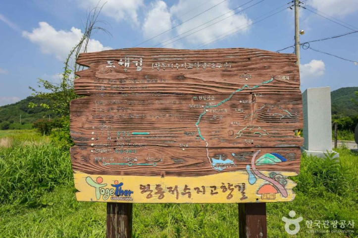 왕동저수지 여행 추천 - 메고지고
