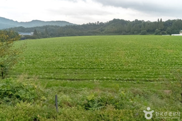 용인 곤충테마파크 여행 추천 - 메고지고
