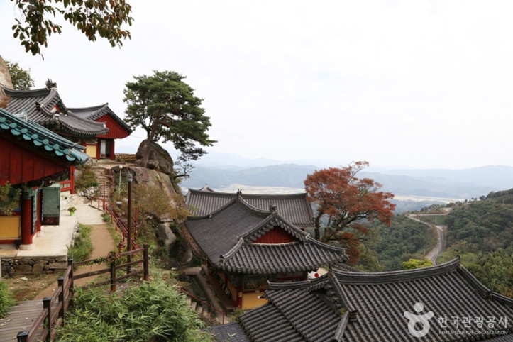 국립청도숲체원 여행 추천 - 메고지고