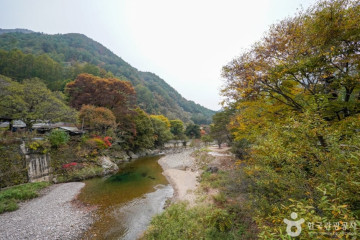 분천 산타마을 여행 추천 - 메고지고