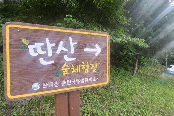 파로호전망대 여행 추천 - 메고지고