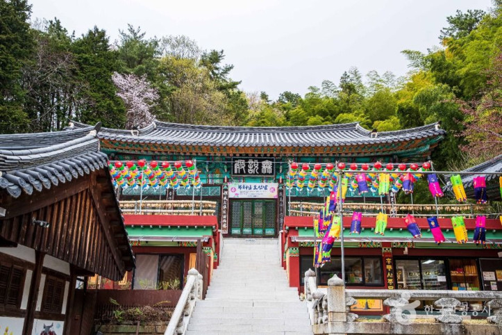 홍룡사(양산) 여행 추천 - 메고지고