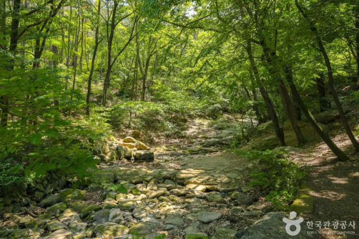 대구앞산공원 여행 추천 - 메고지고