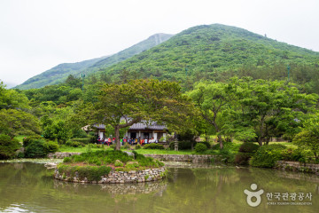 첨찰산 여행 추천 - 메고지고