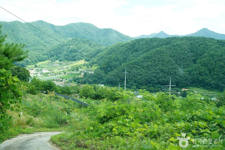 기우산(정선) 여행 추천 - 메고지고