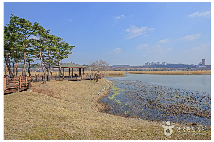 화랑유원지 여행 추천 - 메고지고