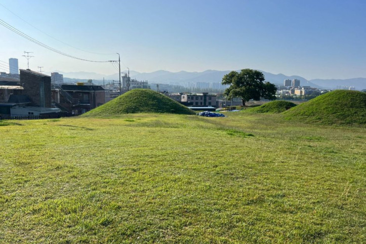 경산 임당동과 조영동 고분군 여행 추천 - 메고지고