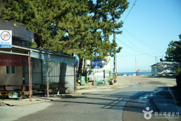 삼척 맹방유채꽃 마을 여행 추천 - 메고지고