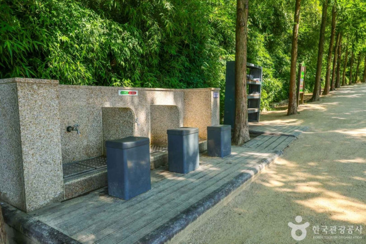 고산골 메타쉐콰이어길 여행 추천 - 메고지고