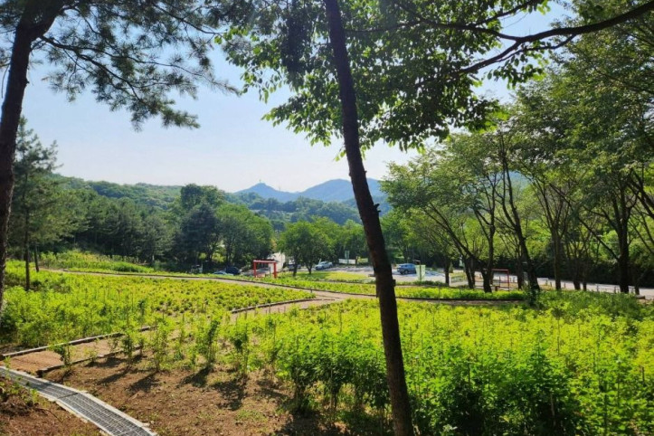 자일산림욕장 여행 추천 - 메고지고