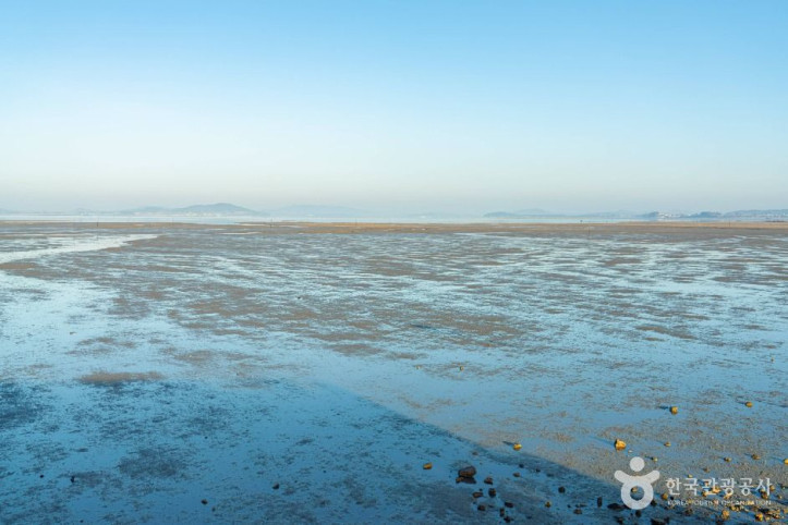 무안낙지공원 여행 추천 - 메고지고