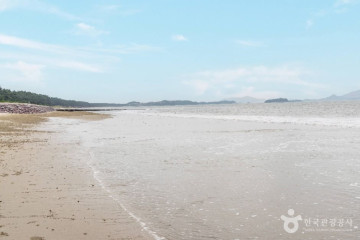 짱뚱어다리 여행 추천 - 메고지고