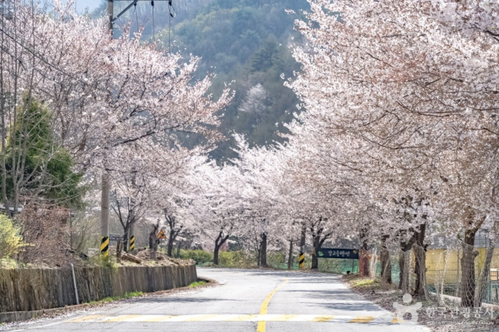 물한계곡 여행 추천 - 메고지고