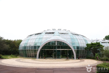 궐리사 여행 추천 - 메고지고