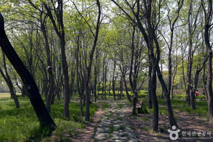 수풀로 양수리 여행 추천 - 메고지고