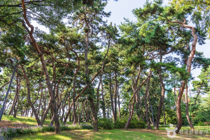 청주 발산공원 여행 추천 - 메고지고
