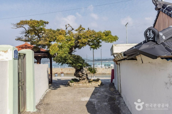 통영 죽도 여행 추천 - 메고지고